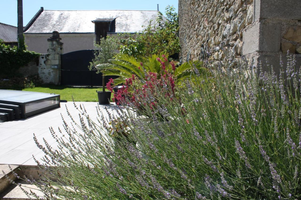 La Douce France Trianon Villa Chinon Exterior foto